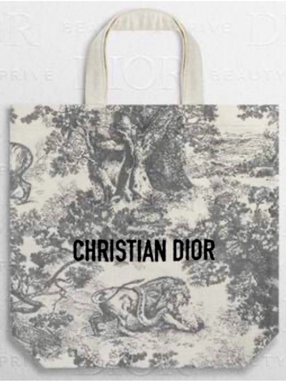 Dior Grey, Cream And Black Tote